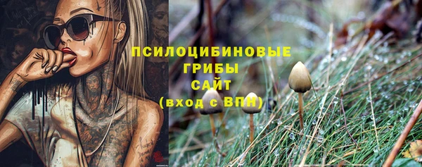 мет Нея