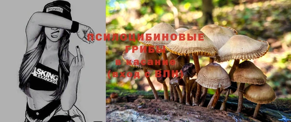 мет Нея