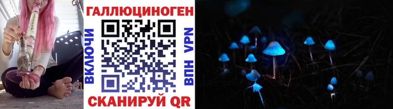 Псилоцибиновые грибы Psilocybe  Лабинск 