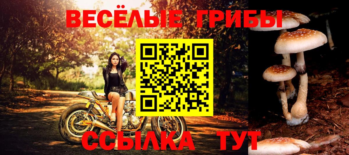 Псилоцибиновые грибы MAGIC MUSHROOMS  Псилоцибиновые грибы Psilocybe  Лабинск  Вход с VPN 